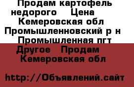 Продам картофель недорого  › Цена ­ 50 - Кемеровская обл., Промышленновский р-н, Промышленная пгт Другое » Продам   . Кемеровская обл.